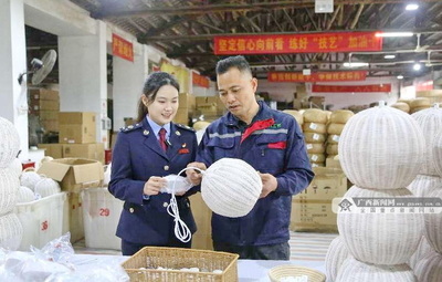 博白稅務 以“稅惠+服務”雙引擎，賦能企業揚帆向海圖強